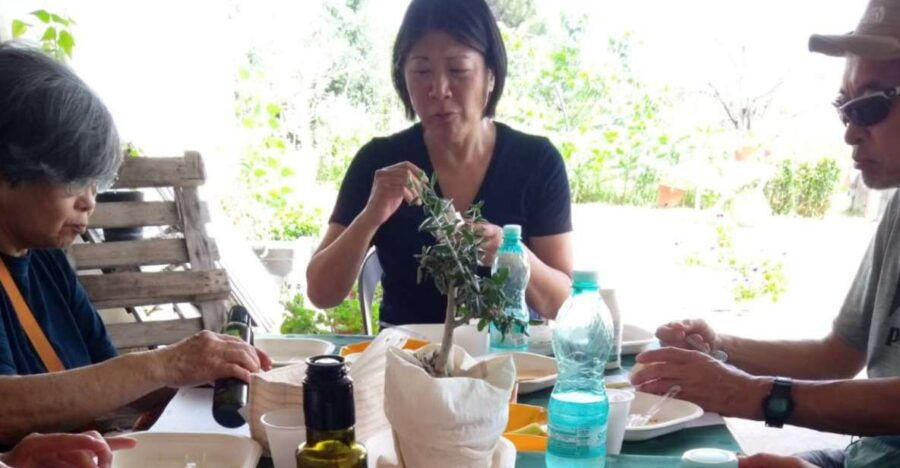 nuoro-visit-an-oil-mill-with-oil-tasting