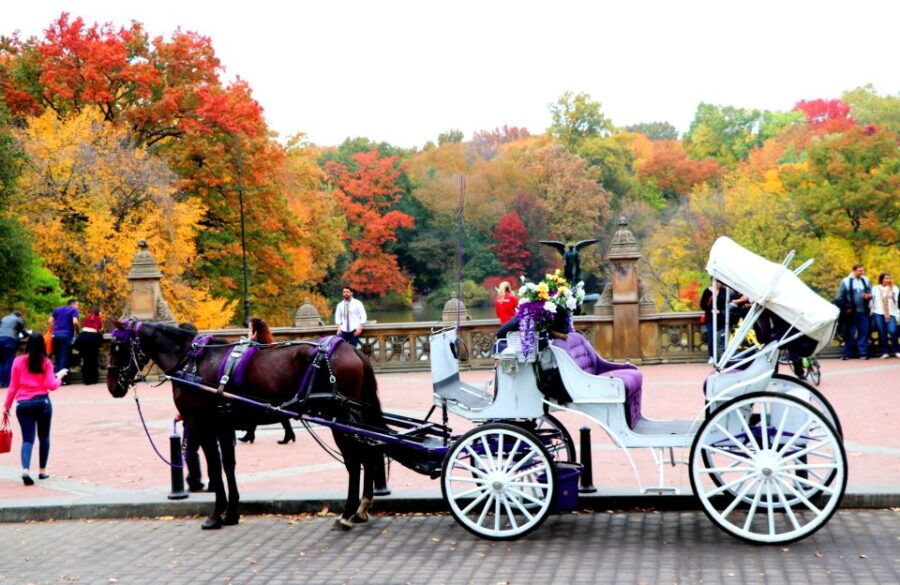nyc-central-park-horse-drawn-carriage-ride-up-to-4-adults