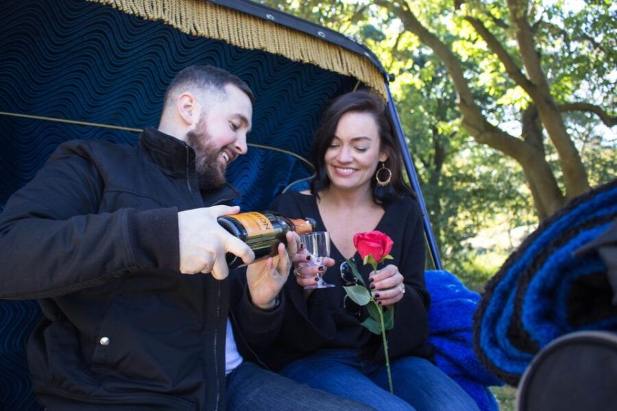 nyc-horse-carriage-ride-in-central-park-65-min