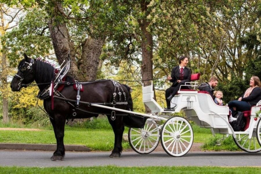 NYC: Private Central Park Horse Carriage Ride With Guide