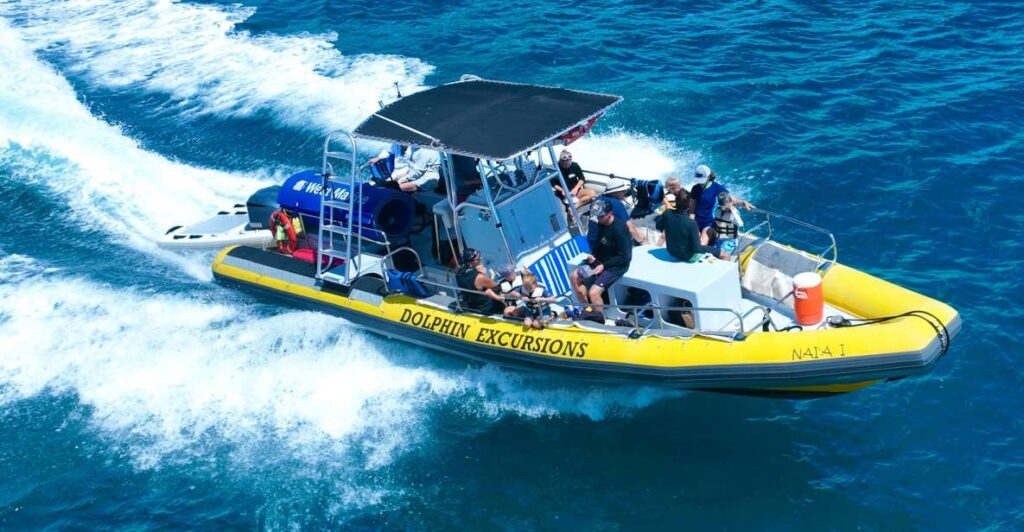 Oahu: Dolphin Swim and Turtle Snorkel Excursion in Waianae