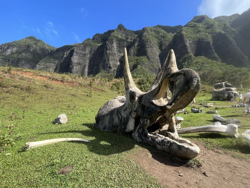Oahu: Kualoa Movie Sites, Jungle, and Buffet Tour Package
