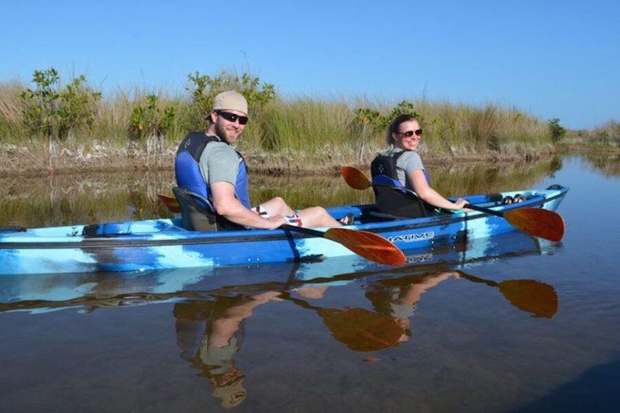 ochopee-half-day-mangrove-tunnel-kayak-tour