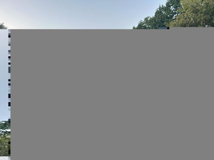 official-exclusive-vip-horse-carriage-ride-in-central-park