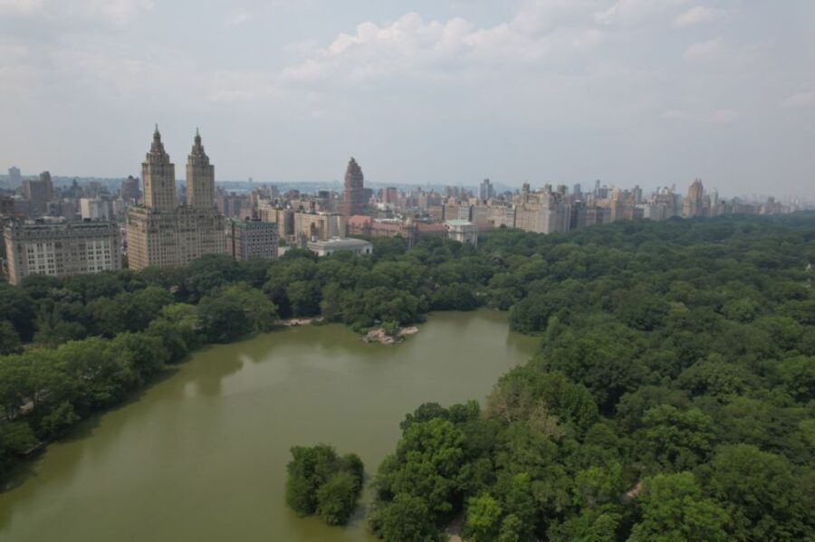 official-vip-whole-central-park-horse-carriage-tour