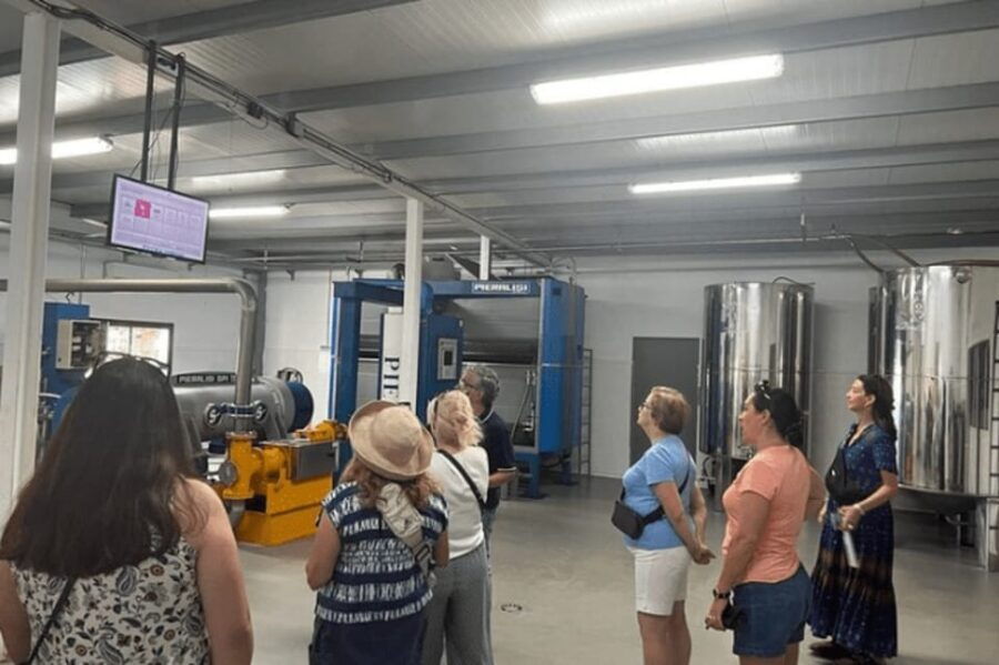 olive-oil-factory-from-sevilla-private-tour