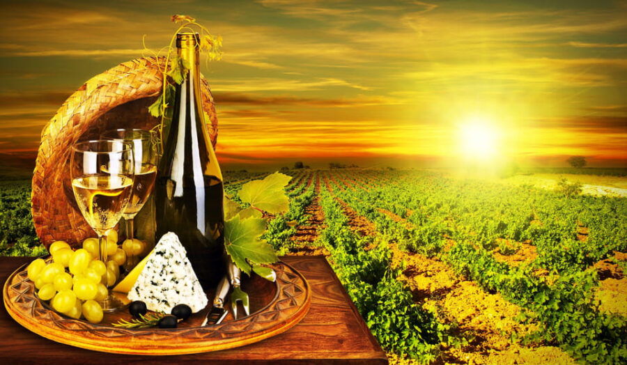 organic-wine-tasting-with-saint-paul-half-day-tour-from-nice