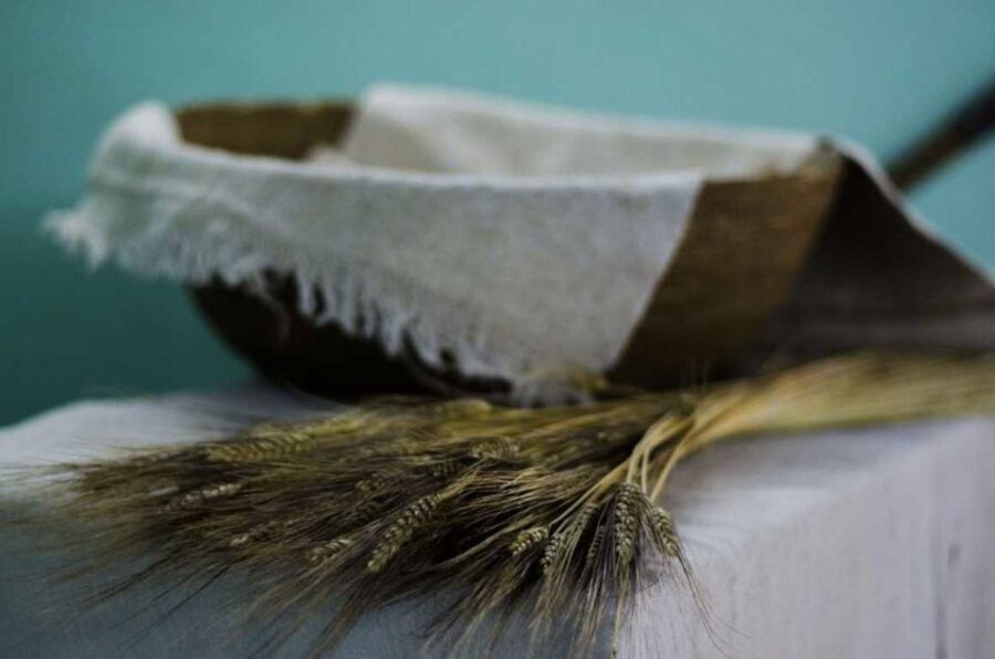 orgosolo-bread-workshop-and-visit-to-the-bread-museum