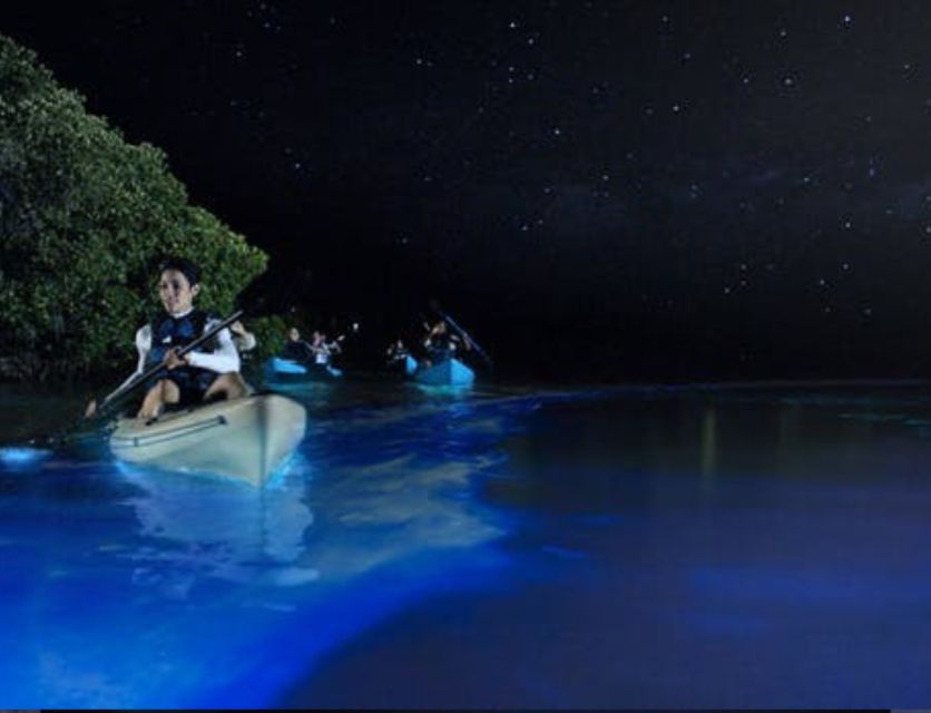 orlando-bioluminescence-clear-kayaking-or-paddleboarding
