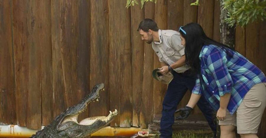 orlando-gatorland-interactive-tour-with-animal-trainer