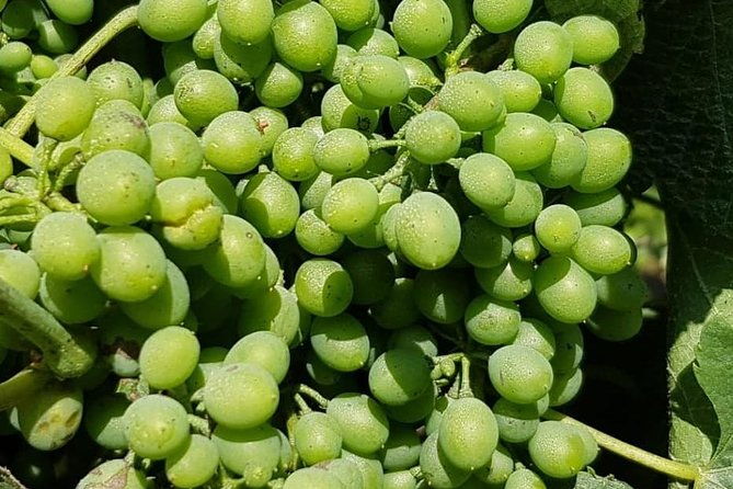 our-magnificent-douro-valley