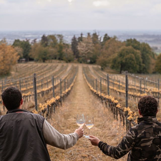 ozzano-emilia-guided-cellar-walking-tour-with-wine-tasting