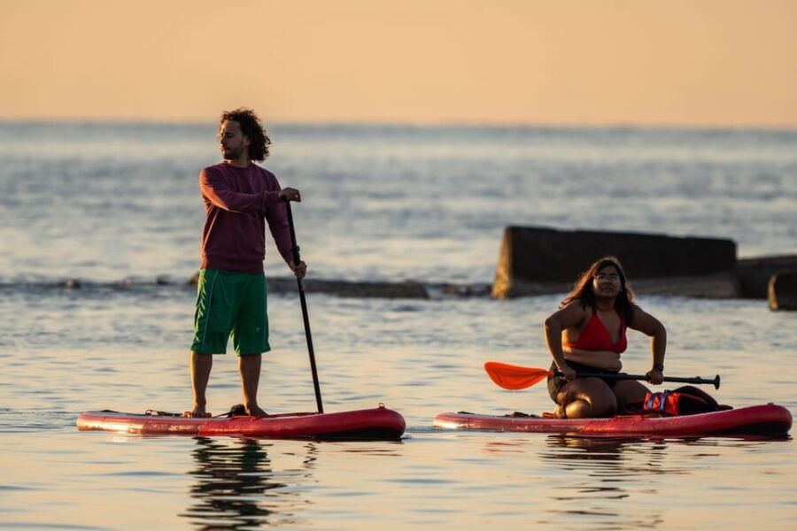 paddlesurf-rental