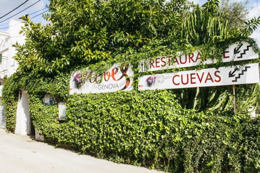 palma-caves-of-genova-ticket-digital-informational-video