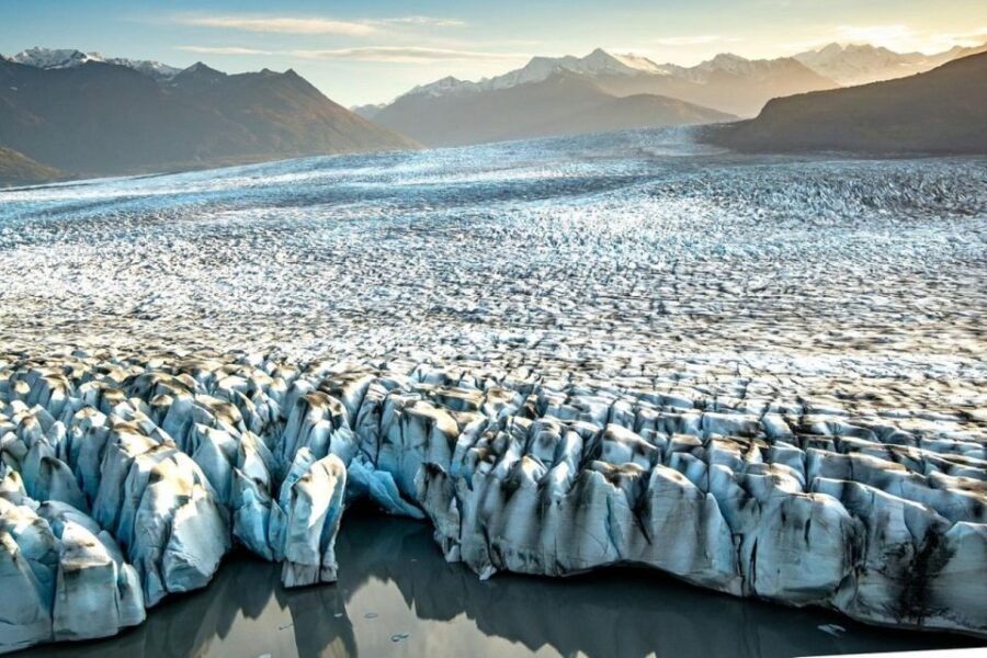 Palmer: Dogs and Glaciers Sledding and Helicopter Tour