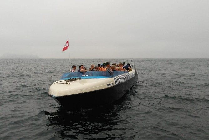 palomino-islands-sea-lion-swimming-tour-from-lima