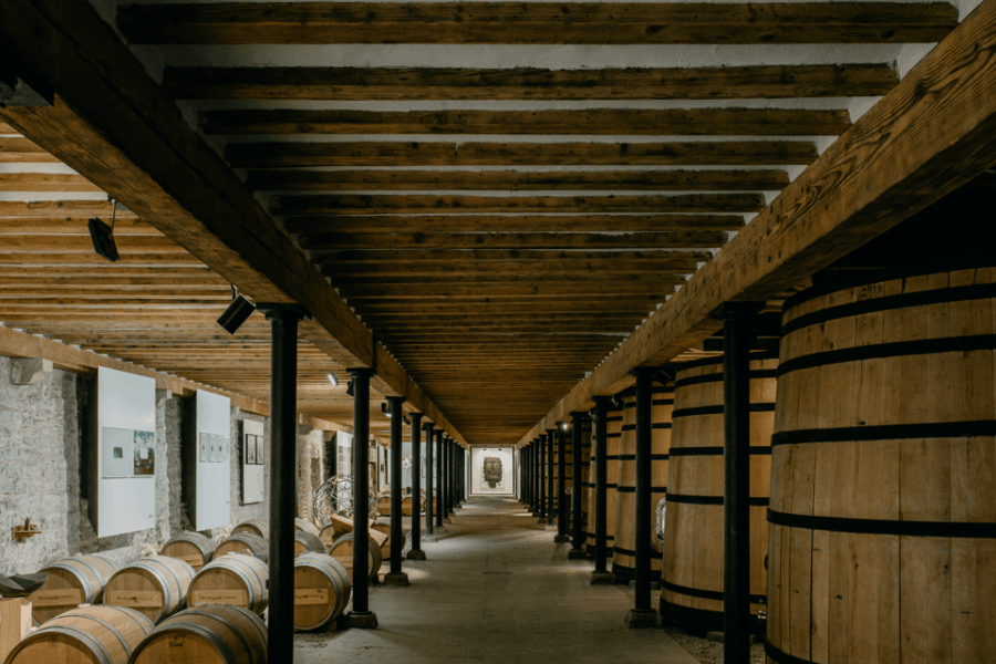 pamplona-otazu-wineries