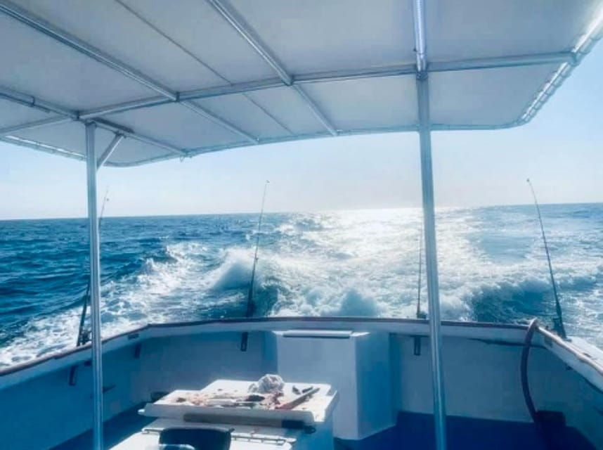 Panama City Beach: Private Dolphin Cruise