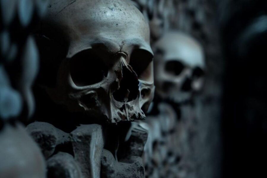 paris-catacombs-audio-guide-and-river-cruise-option