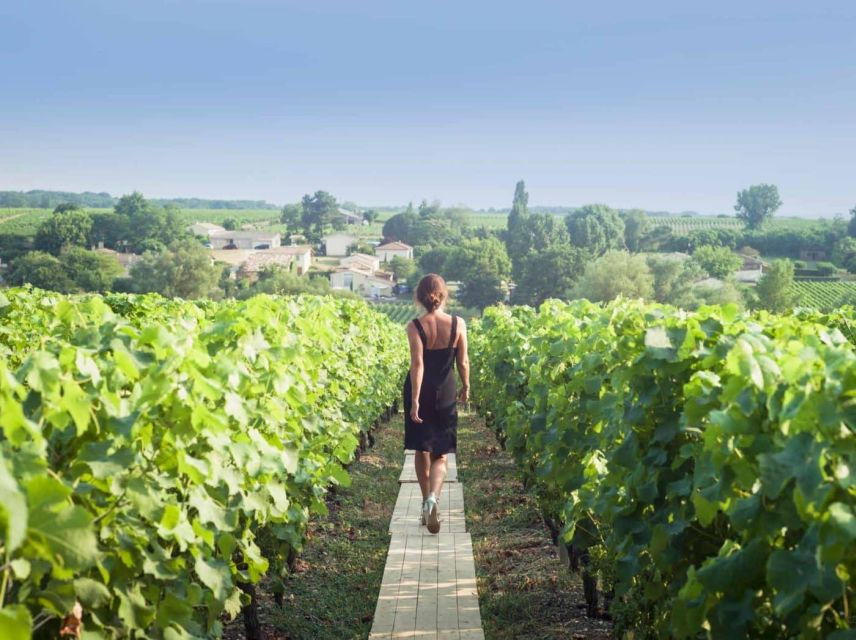 paris-discover-the-cellars-in-the-countryside-in-champagne