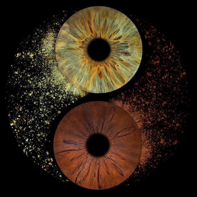 paris-professional-iris-photography-with-a-framed-print