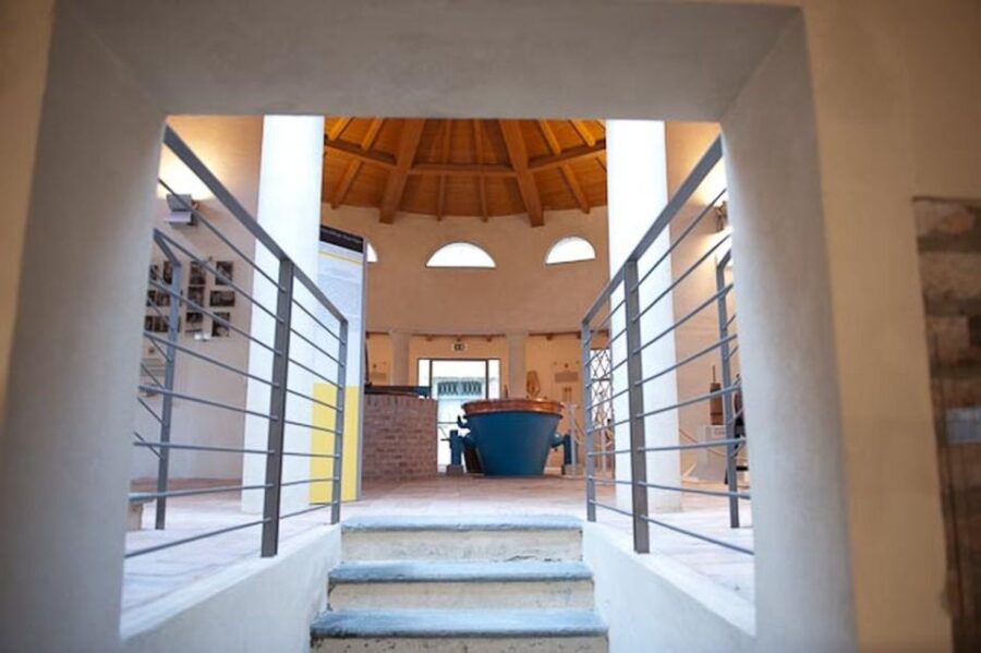 parma-parmigiano-reggiano-museum-ticket-with-tasting-option