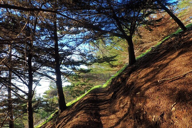 pico-do-facho-panoramic-trail