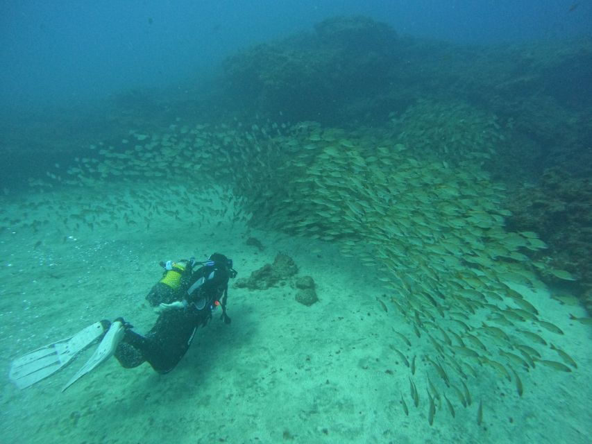 playa-del-ingles-discover-scuba-diving-free-transfers