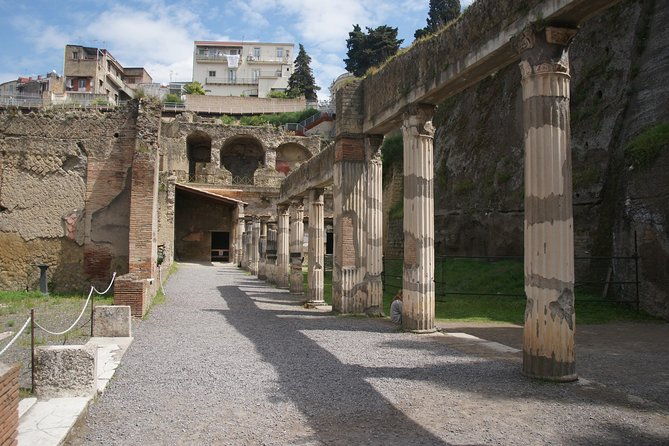 pompeii-and-herculaneum-day-tour-with-lunch-from-naples