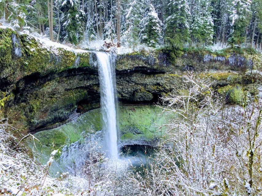 Portland: Silver Falls Hike