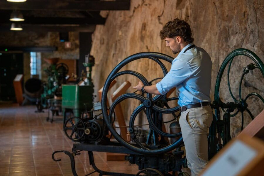 porto-city-full-day-minibus-tour-wine-tasting-six-brigdes