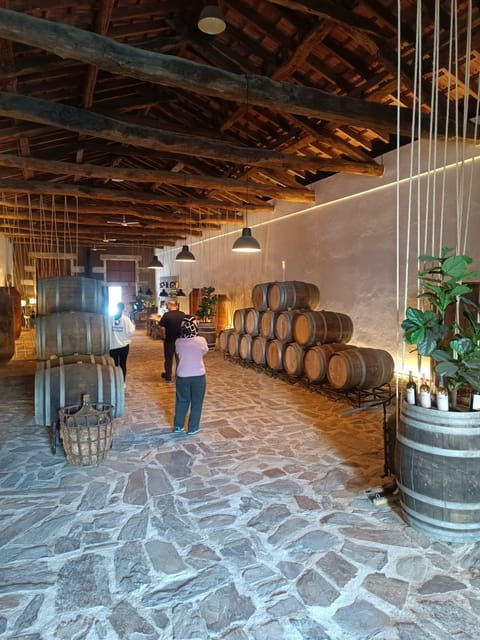 porto-douro-valley-2-farms-with-wine-tasting-and-lunch