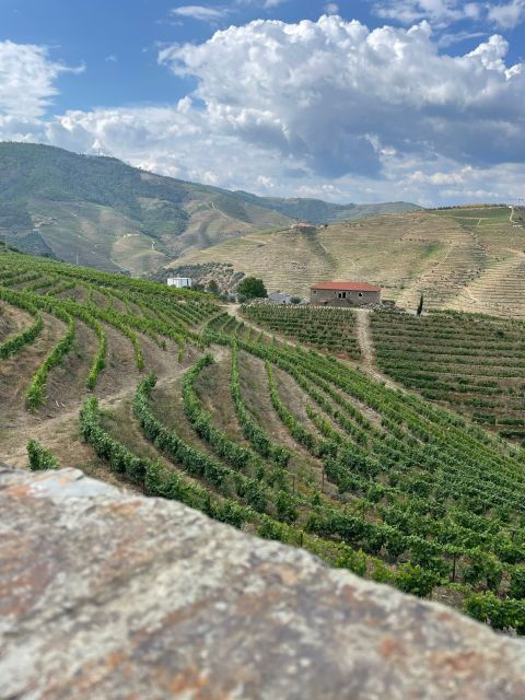 porto-douro-valley-private-tour-2-vineyards-river-cruise