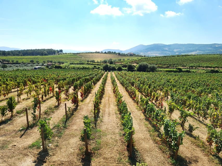 porto-douro-valley-tour-at-2-wineries-lunch-and-cruise