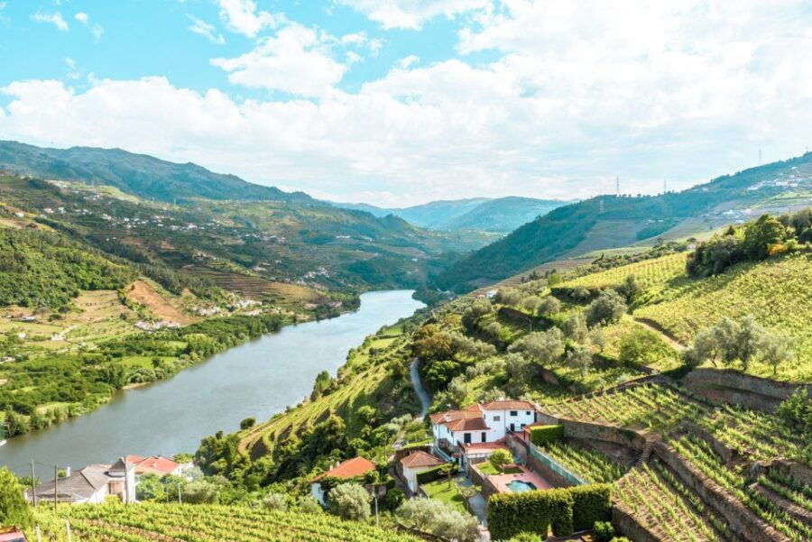 porto-douro-valley-tour-with-wine-tasting-cruise-and-lunch