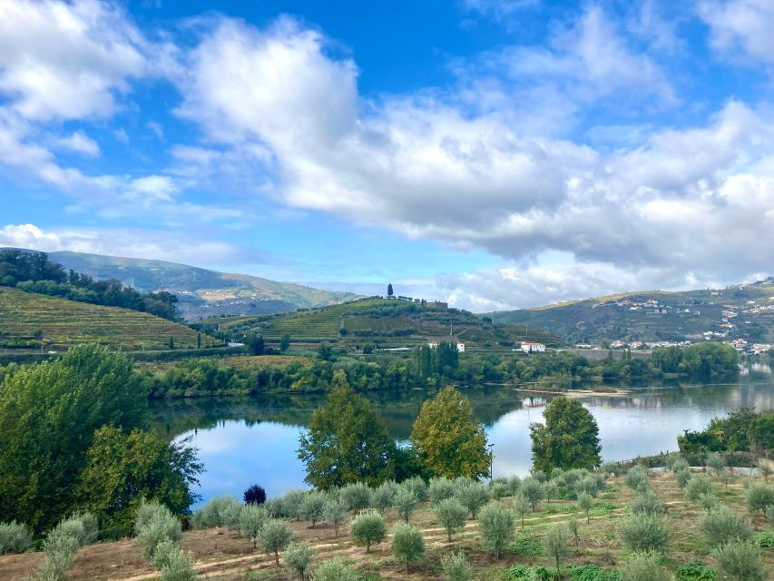 porto-douro-valley-wine-tour-with-tastings-boat-and-lunch