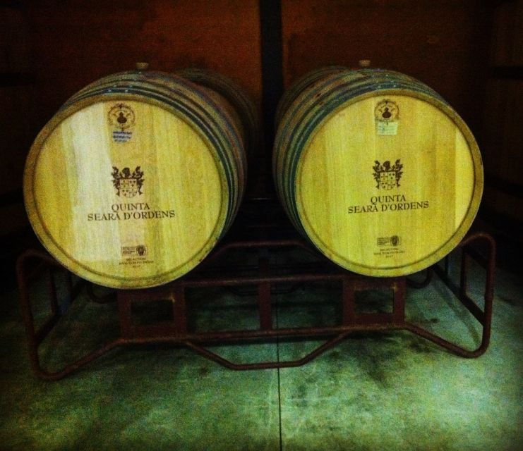 porto-half-day-small-group-city-tour-with-port-wine-tasting