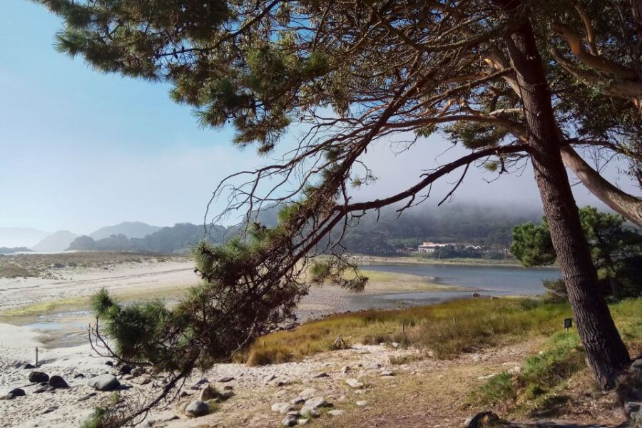 portonovo-ferry-to-cies-islands-rodas-beach