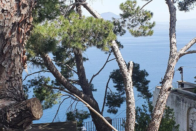 positano-sorrento-and-pompeii-in-one-day-with-expert-local-driver-guide