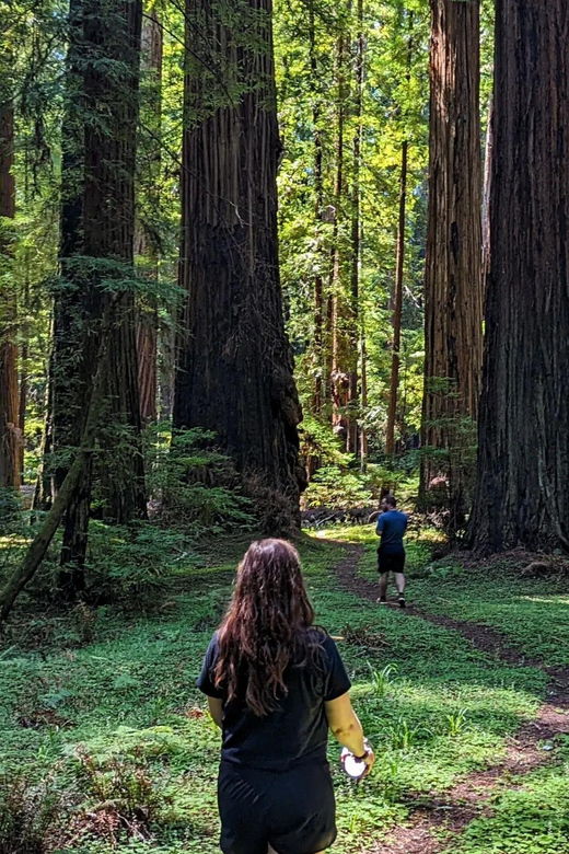 prairie-creek-state-park-redwood-forest-hiking-tour