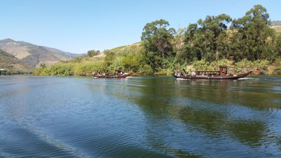 premium-small-group-douro-valley-wine-tasting-from-porto