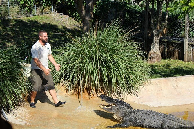 private-4-hour-tour-of-everglades-from-miami-dade