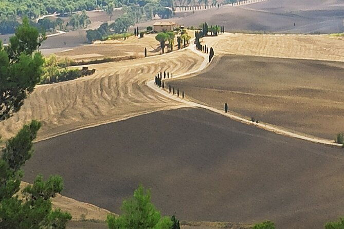 private-art-wine-tour-in-cortona-montepulciano-with-lunch-2-wine-tastings