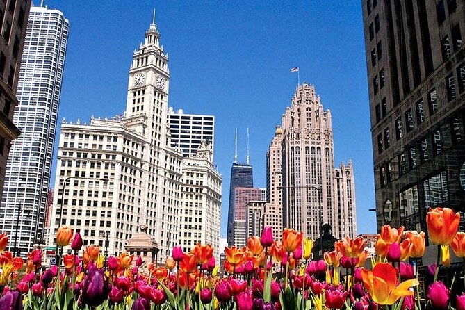 Private City Tour 6-10ppl