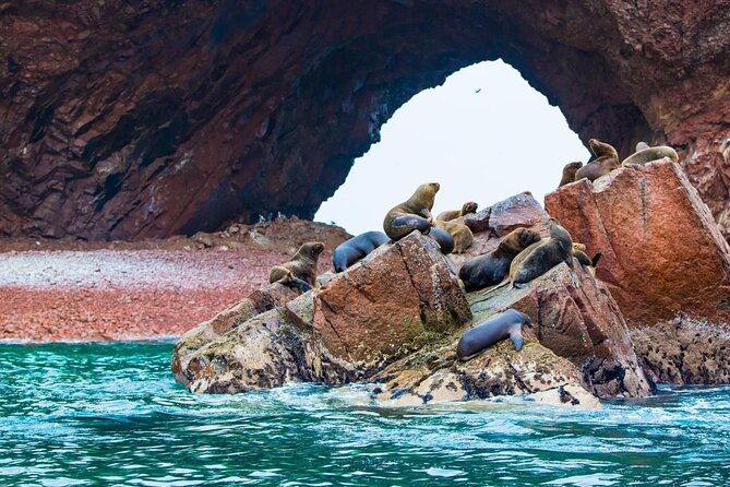private-full-day-paracas-reserve-and-ballestas-islands-from-lima