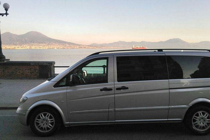 private-half-day-tour-of-mt-vesuvius