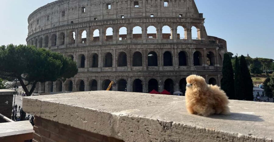 private-half-day-tour-to-vatican