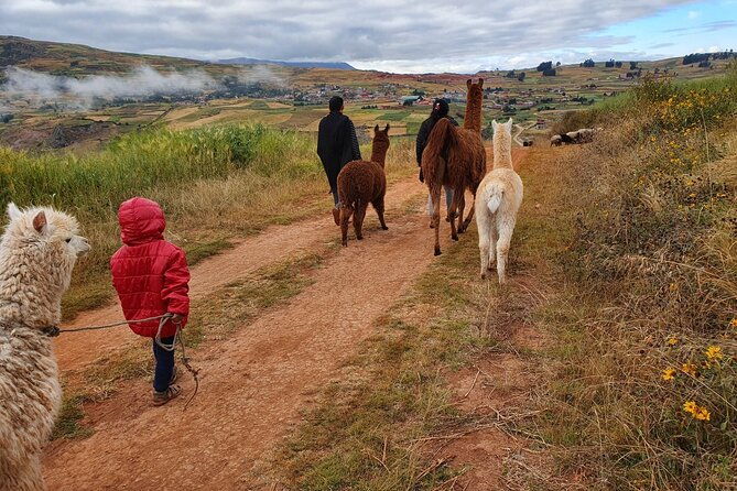 private-hike-with-llamas-in-the-andes-of-the-sacred-valley