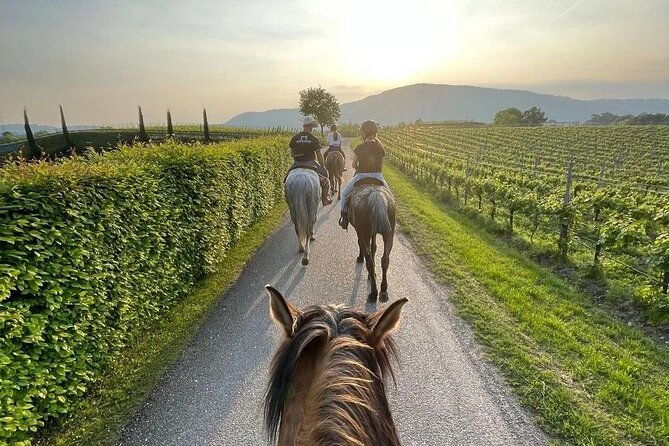 private-horseback-riding-tour-of-the-vineyards-in-verona-with-wine-tasting