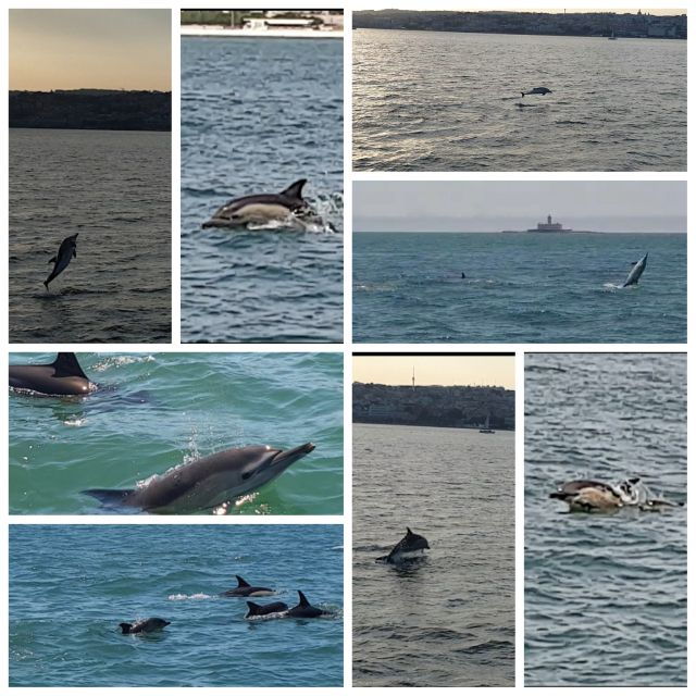 private-lisbon-sightseeing-sailing-boat-tour-with-locals